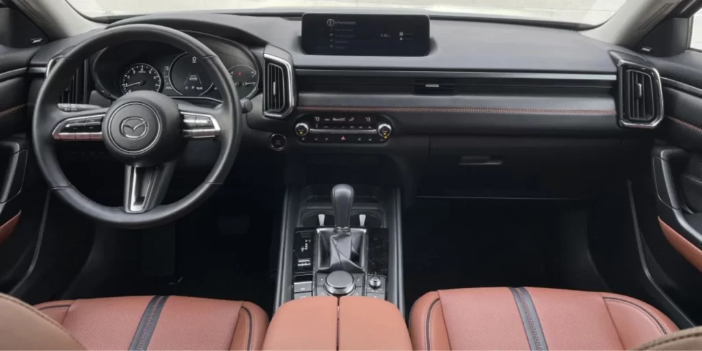 Black Leather With Brown Accents